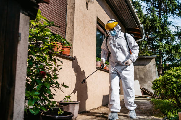 Best Exterminator Services  in Saginaw, TX