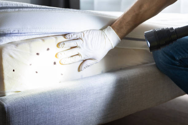 Best Pest Control for Businesses  in Saginaw, TX