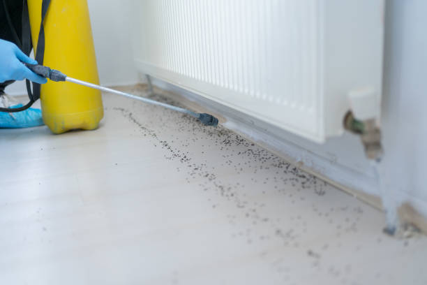 Pest Prevention Services in Saginaw, TX