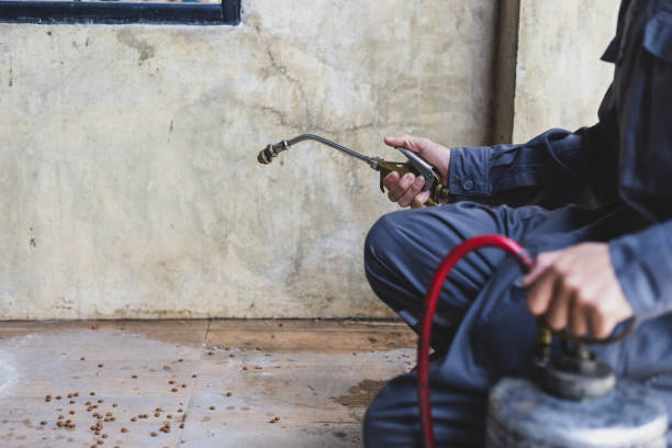 Best Pest Inspection Near Me  in Saginaw, TX